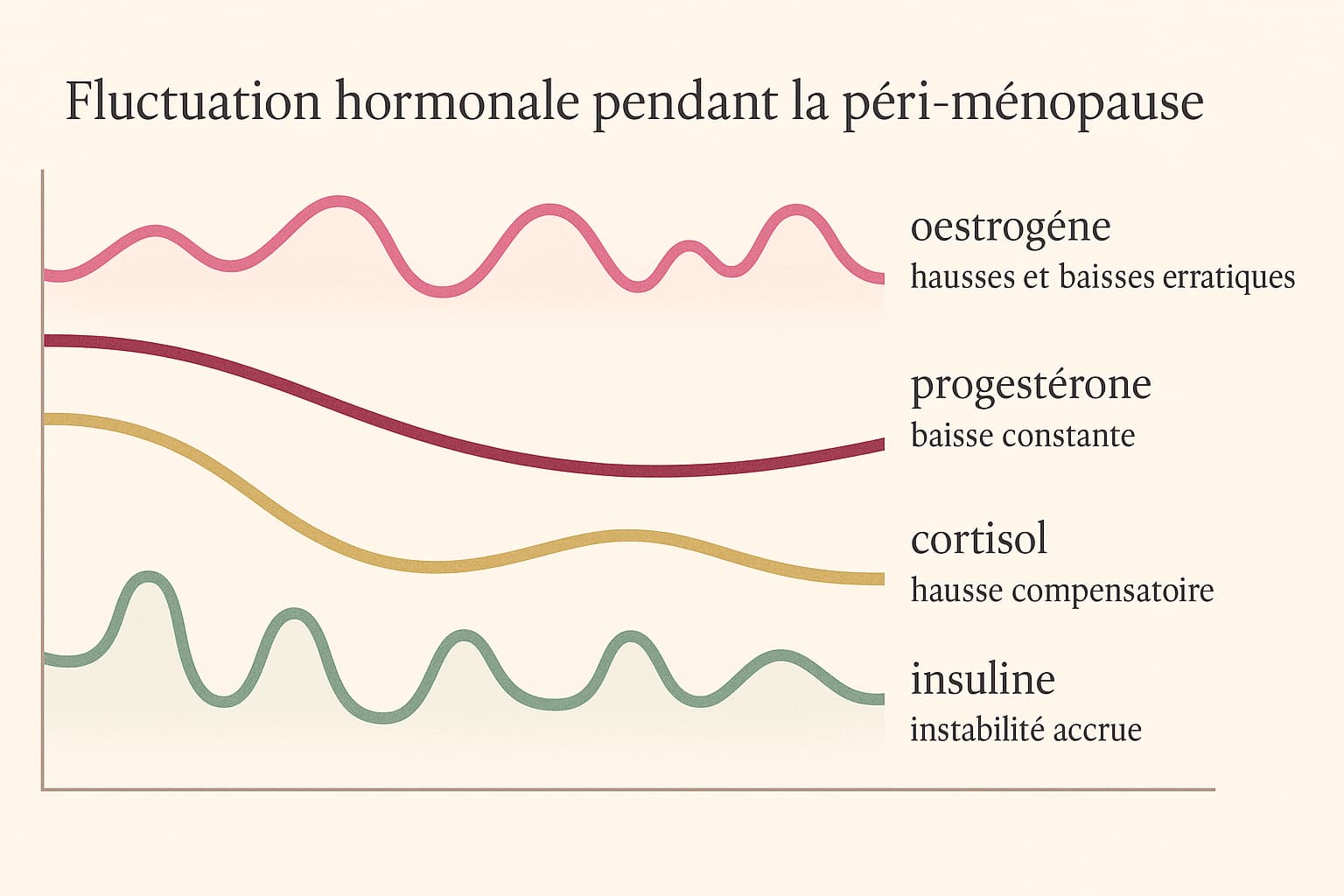 Schéma fluctuations hormonales péri-ménopause