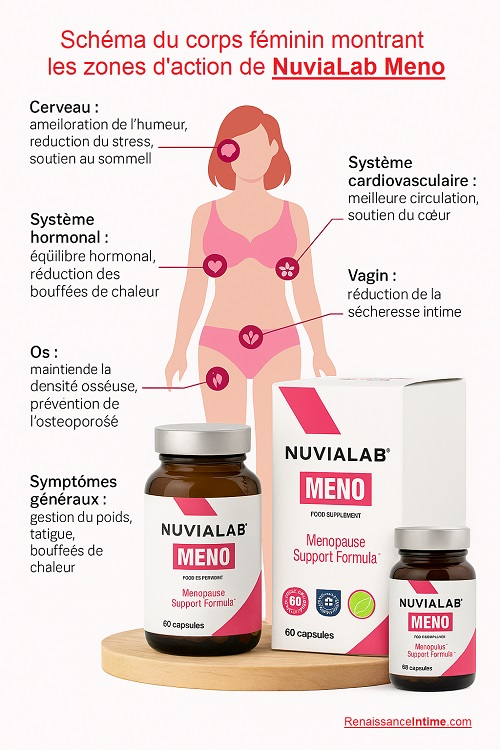 Schéma du corps féminin montrant les zones d