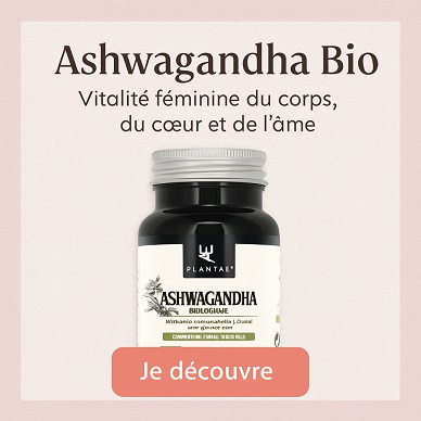 banner carre ashwangadha