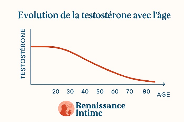 Graphique évolution testostérone femme avec l