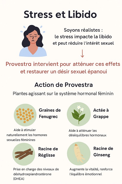 informagraphie illustrant impact du stress sur la libido et comment provestra intervient